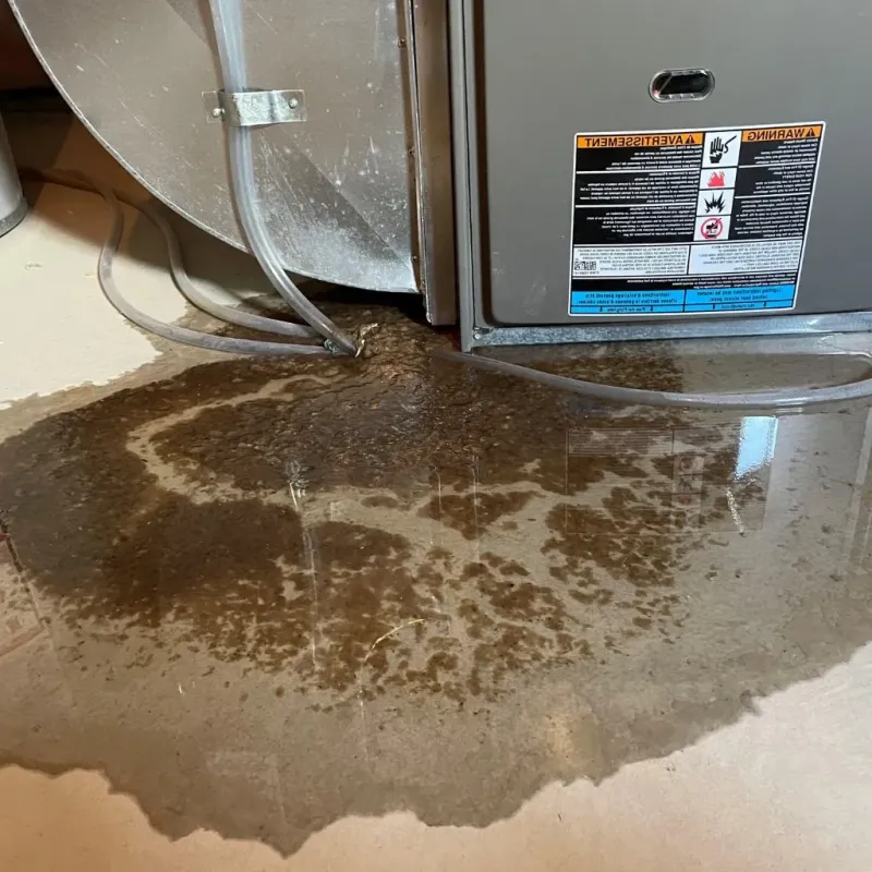Pipe Burst and Leak Restoration in Putnam County, WV